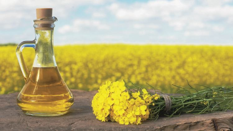 Oils, Margarines and Shortening