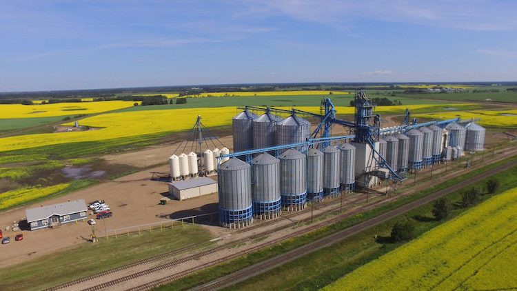 Grain Storage Silos