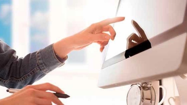 Person Working at Computer