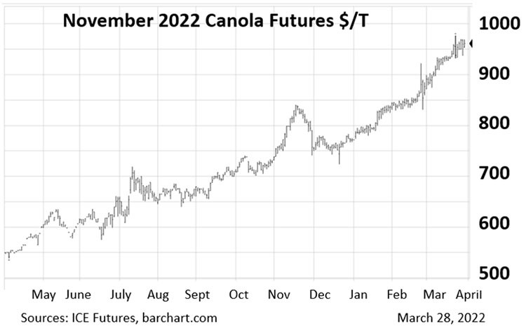 Canola pricing graph