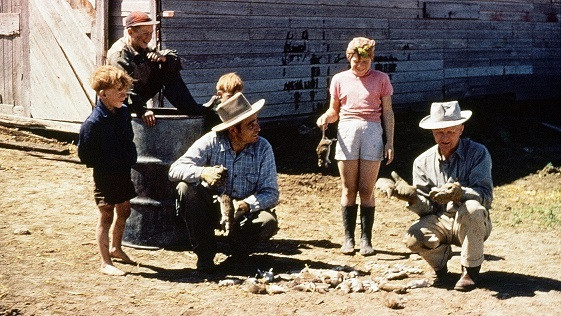 Photo of teaching kids about rat education