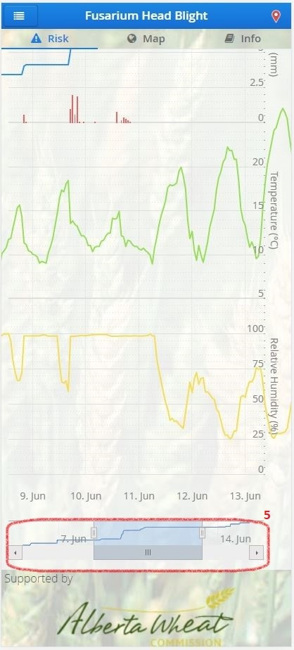 Step-by-step instructions #5