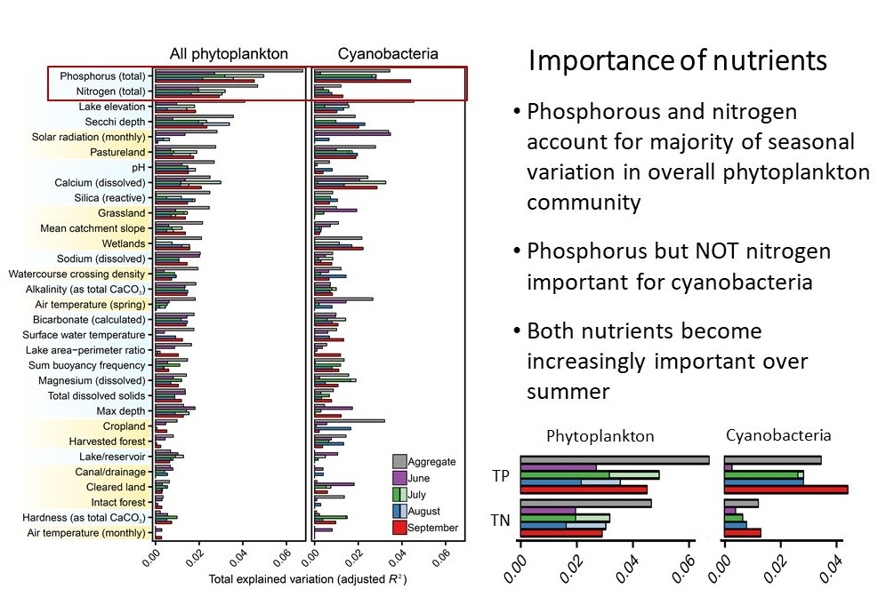 Figure 5. Importance of local ‘in-lake’ (in blue) and regional (in pink) environmental factors (vertical axis) explaining variation (horizontal axis) in monthly and seasonally aggregated phytoplankton and cyanobacteria community composition in 75 lake