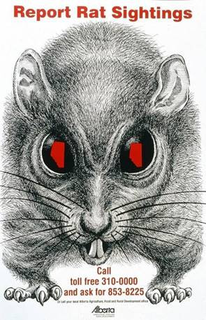 Poster of a rat for rat report sightings