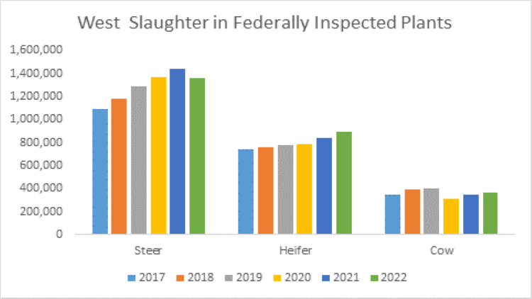 Image of a graph chart of cattle numbers