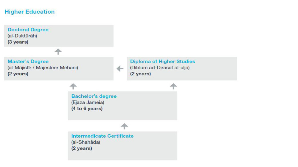 Flowchart of Syria's higher education system