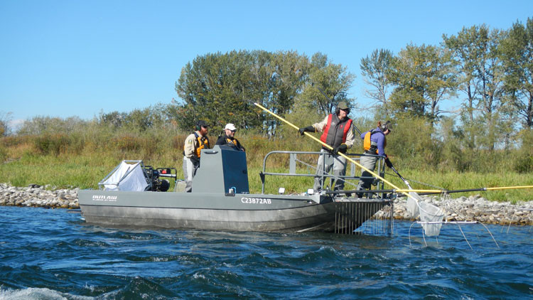 People on a boat holding a fishing net