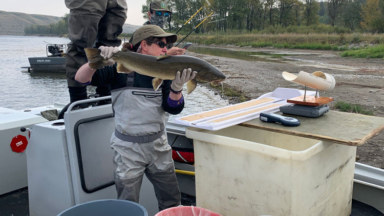 Person on a boat holding a fish