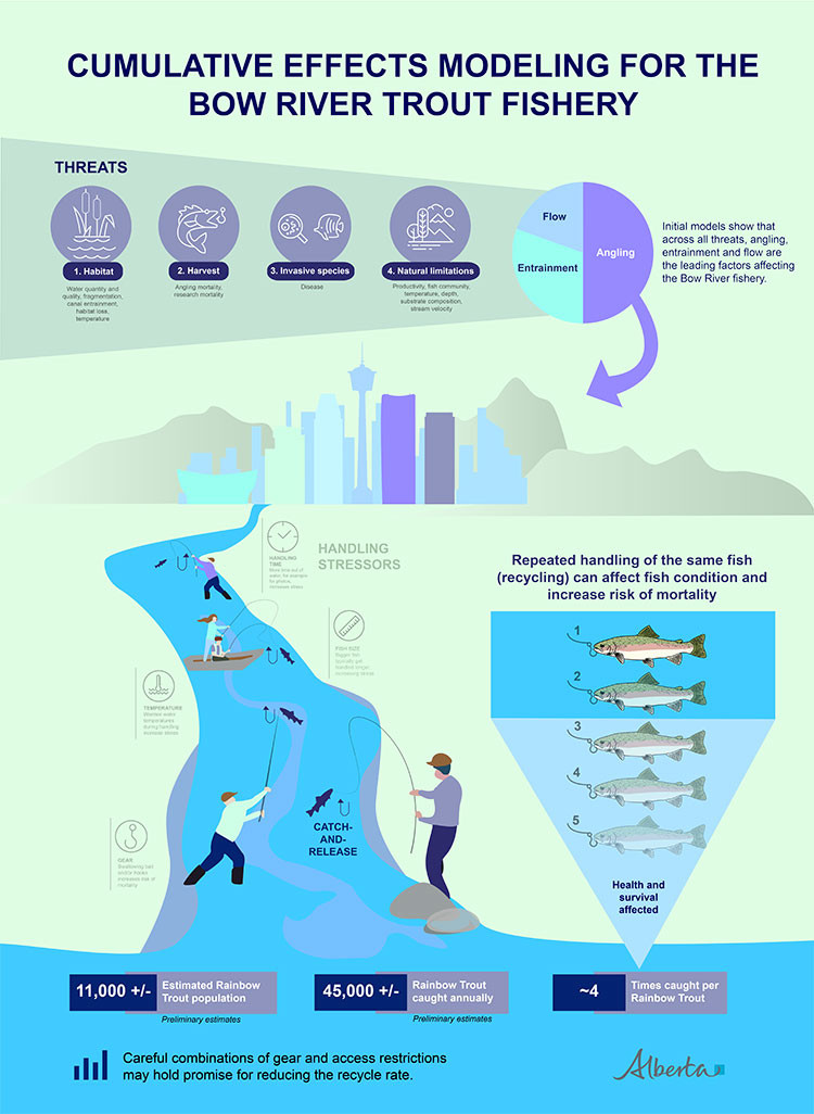 Cumulative Effects Modeling for the Bow River Trout Fishery