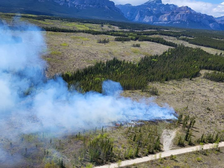 Smoke is drifting from a ground fire in a mosaic of forest and clearings.
