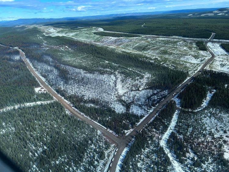 Snow scattered across the wildfire area.