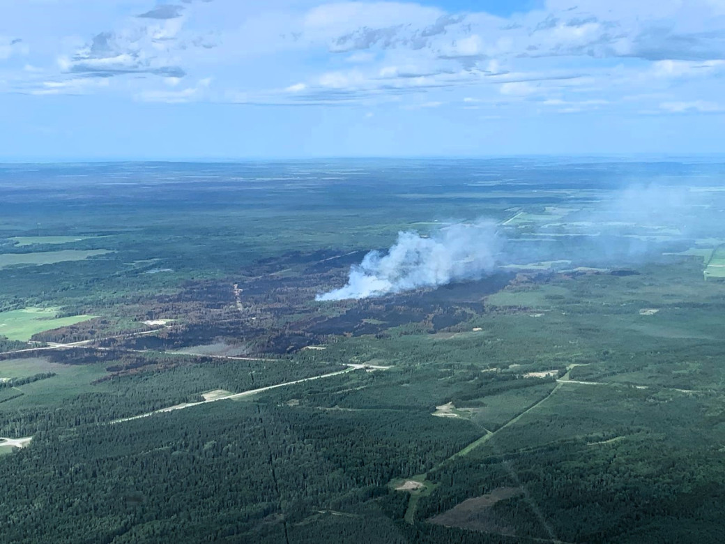 Smoke billows from a burnt area in the forest. 