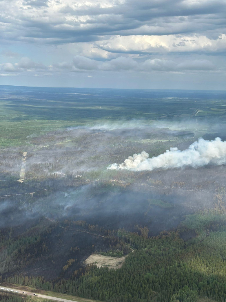Smoke over the forest