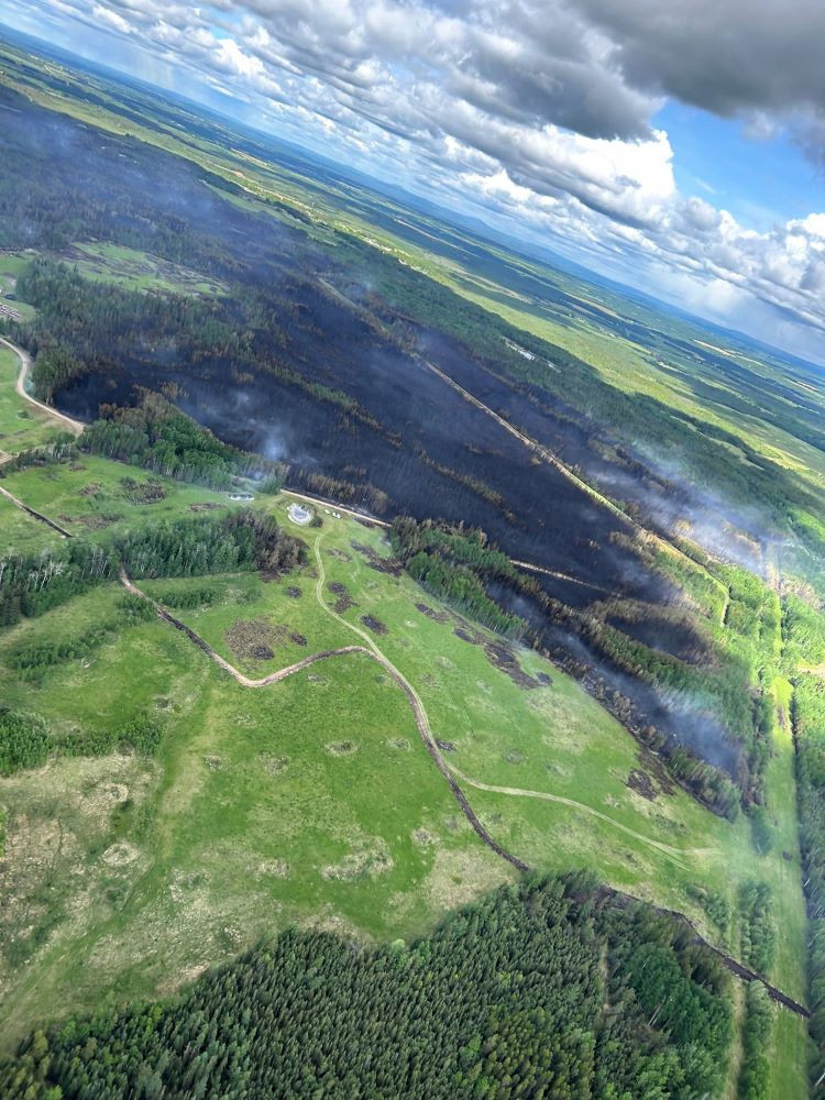 Some smoke over a green lush forest and burnt trees.