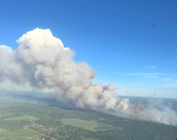 Smoke over the forest