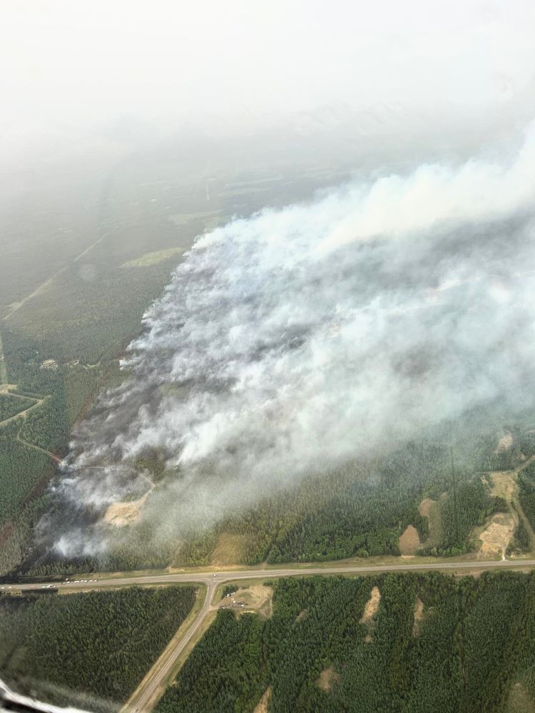 Low laying smoke over the trees. 