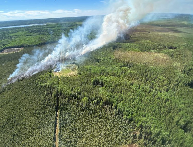 Smoke over the forest