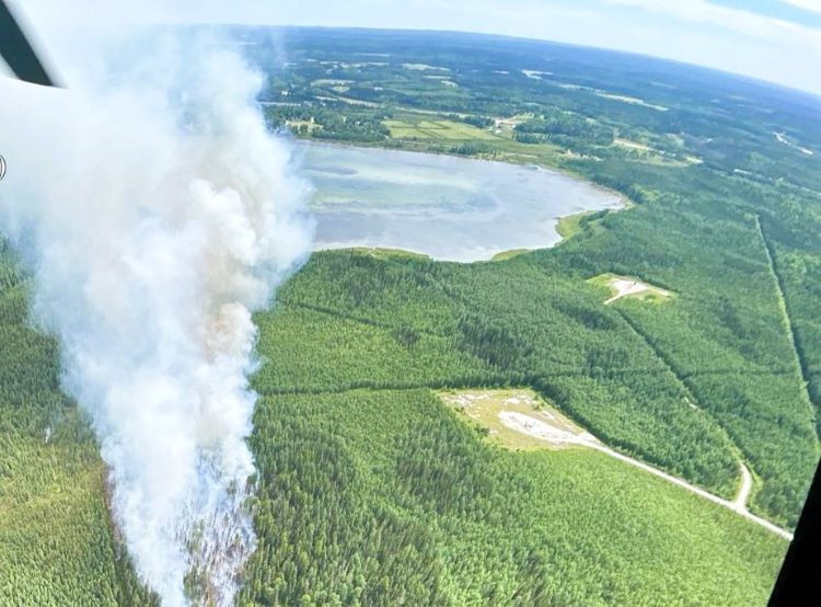 Smoke over a green forest with a community in the background.