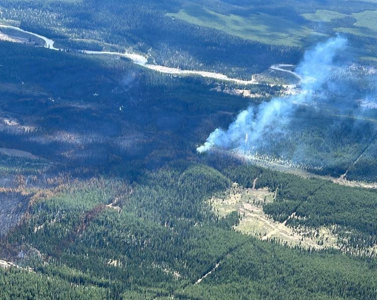 A white column of smoke is coming from a burnt area in the forest. 