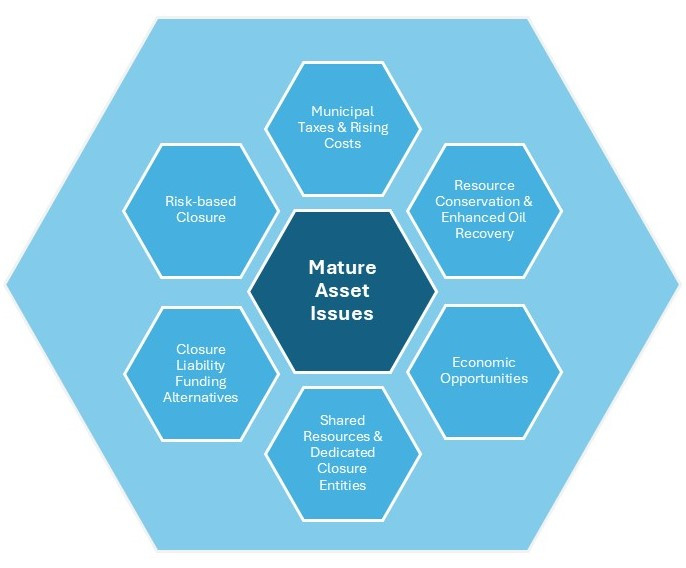 Graphical representation of the six major policy areas examined during the Mature Asset Strategy engagement, as listed.