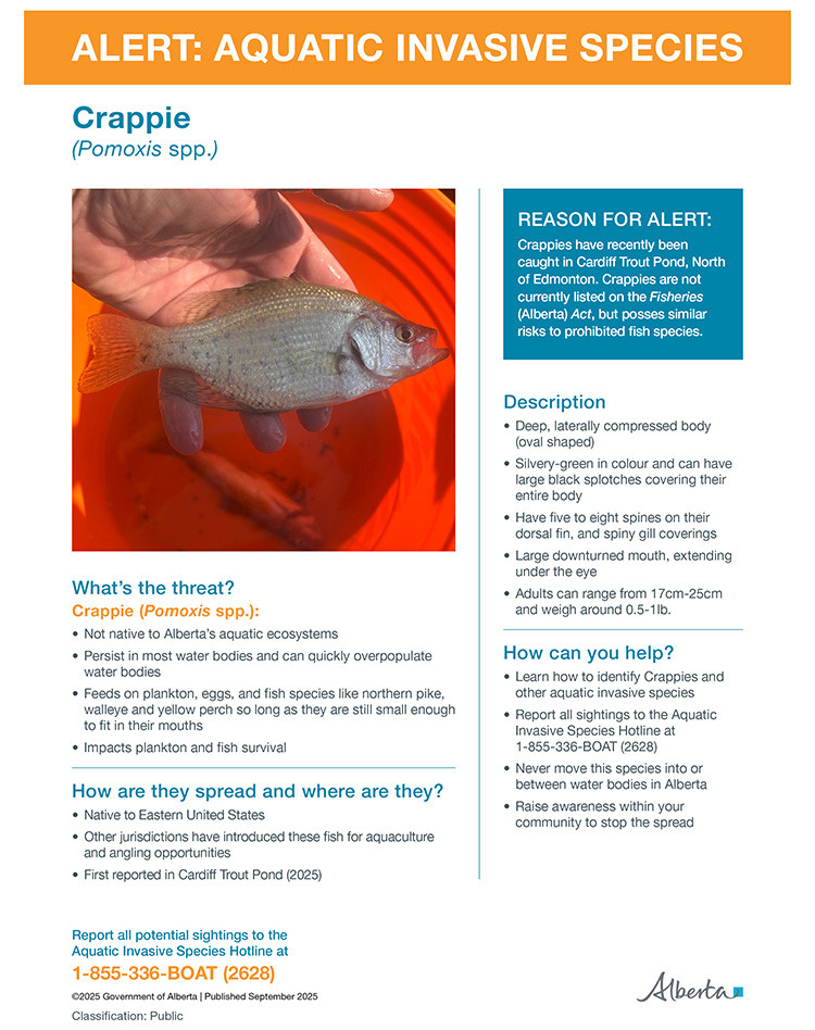 Alert sheet for Crappies