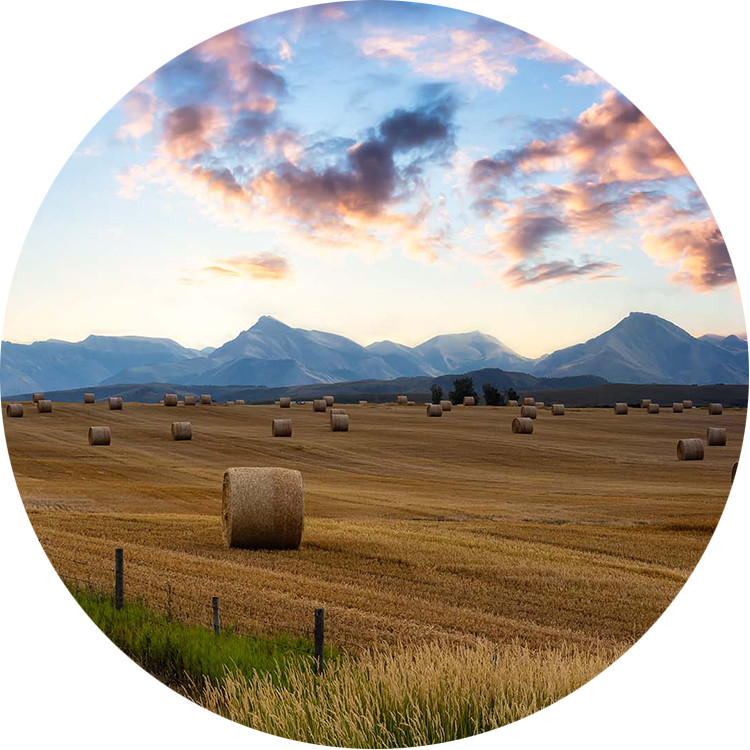 A scenic view of Pincher Creek