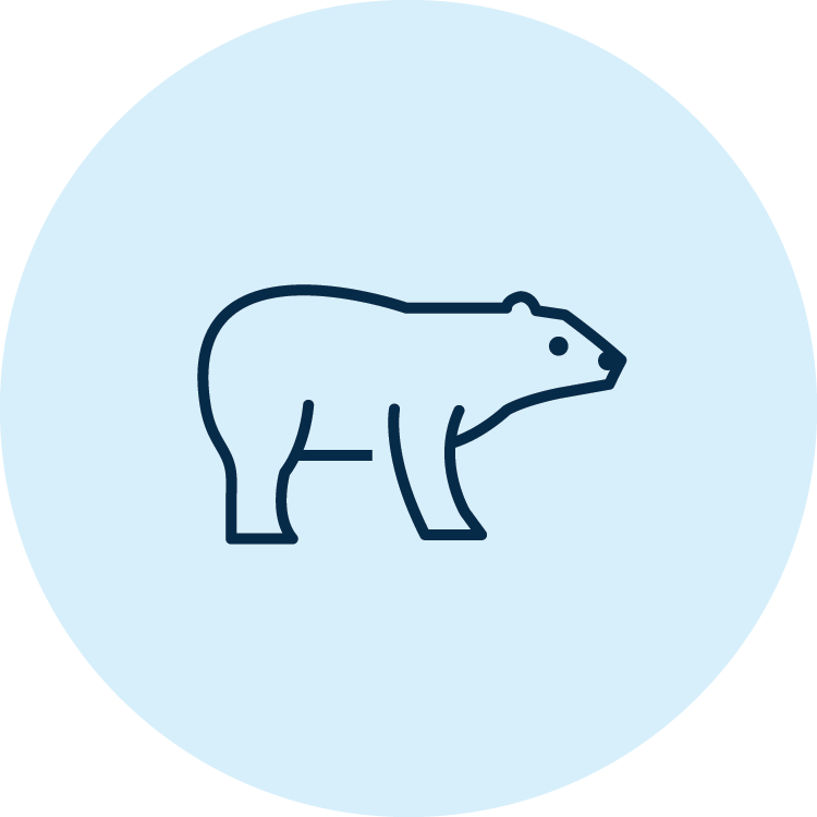 Icon outline of a bear