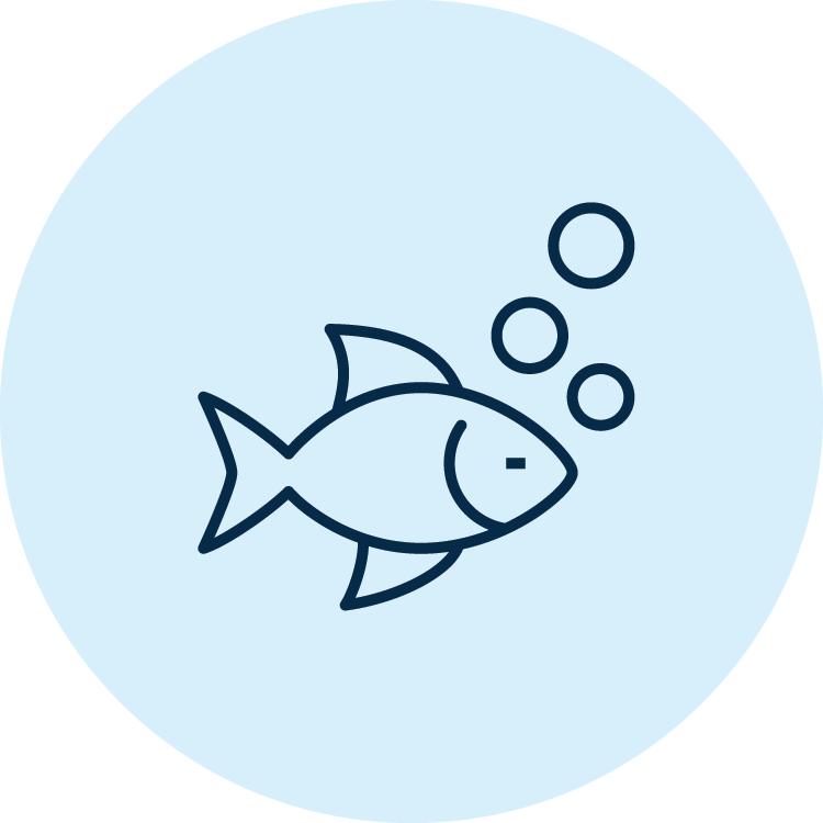 Icon outline of a fish
