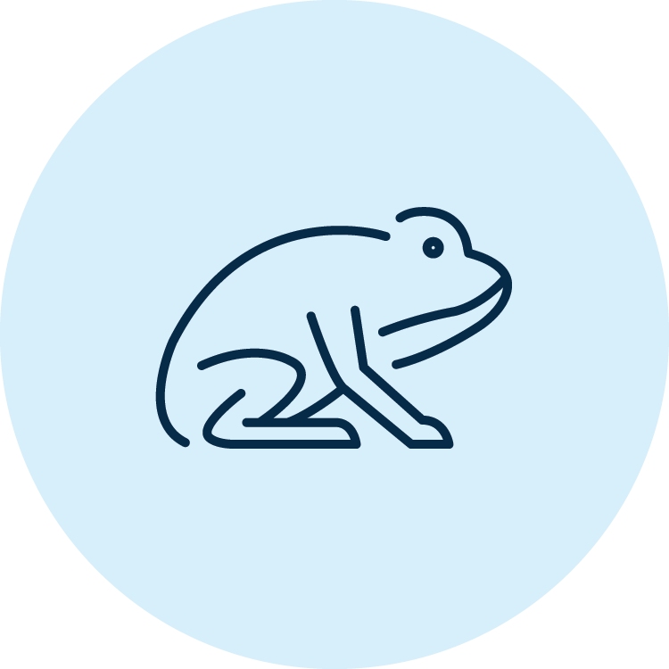 Icon outline of a frog