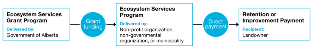 A diagram outlining the Ecosystem Services Grant Program framework, showing how the Government of Alberta delivers grant funding to various organizations that provide ecosystem services by making direct payments to landowners who retain or improve such services on their land.