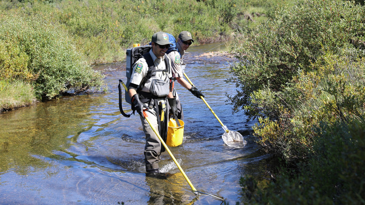 Photo of two men in coveralls standing a stream electrofishing.