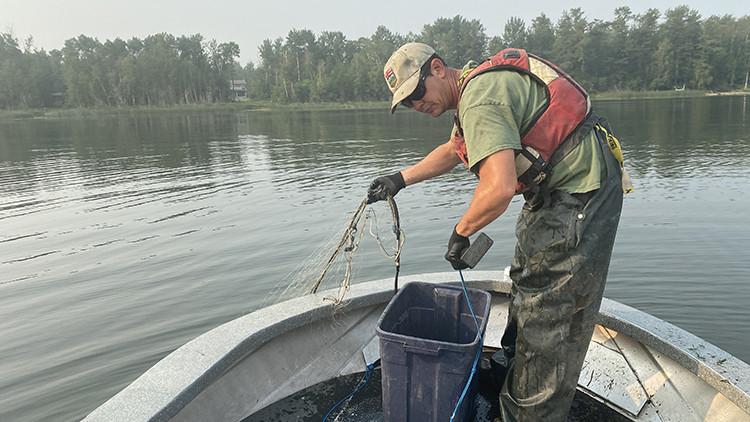 Photo of a man in a boat setting out a net for a lake fish survey.