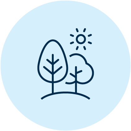 Trees under a bright sun