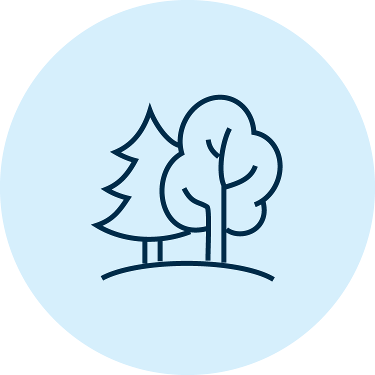 Two trees next to each other on a landscape