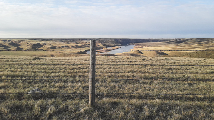 Photo of a fenced field