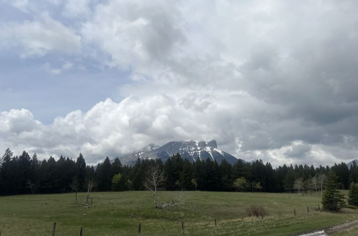 A mountain peak under a cloudy sky. There is a field at the base of the mountain that starting to show new spring growth in the grass.