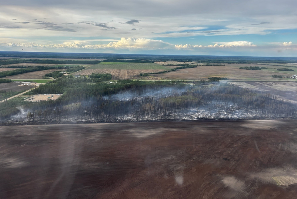 HWF040 looking north at Hwy 697 (June 1, 2025