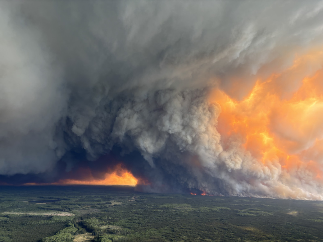 A plume of smoke rises from the trees. harsh orange light permeates the backdrop