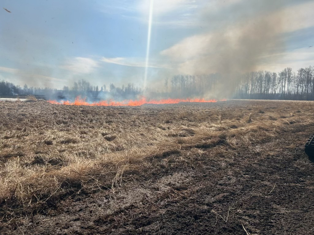 A area of dry grass being burned to reduce potential wildfire fuels.