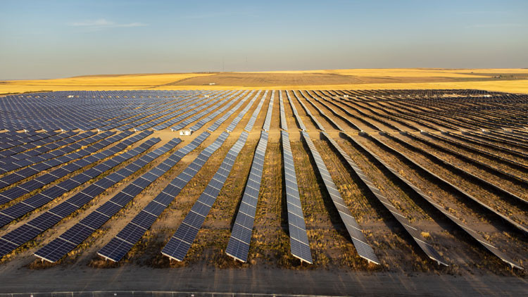 Thousands of solar panels in a field