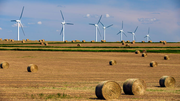Bales of hay in a field with wind turbines in the background