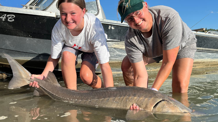 Researchers holding a Lake Sturgeon.