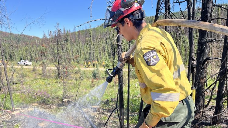 A firefighter wearing yellow protective gear and a red helmet sprays water from a hose onto a mock fire in a forested area. The uniform has a "WILDLAND FIRE" patch on the sleeve. In the background, other firefighters and emergency vehicles are visible, indicating a coordinated training exercise. The forest shows signs of previous burns, with charred trees and green vegetation.