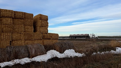 A truck driving along Alberta's Highway 3