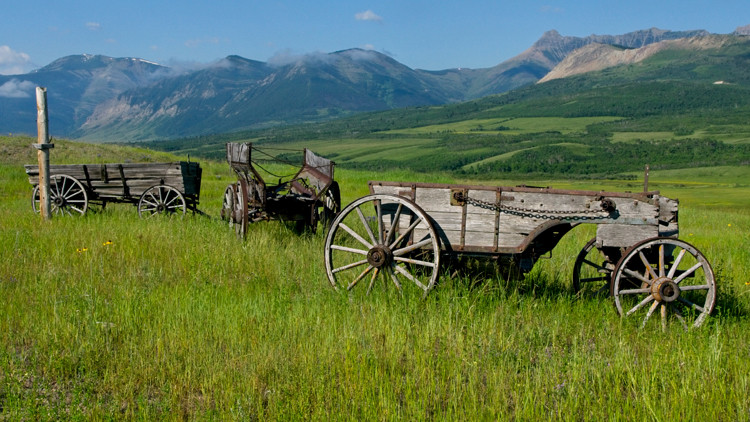 Photo of wooden wagons in a field.