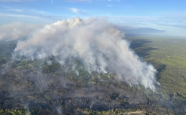 Aerial view of a large wildfire burning through a forested area, with thick white and grey smoke billowing into the sky and patches of scorched earth visible below. The landscape stretches into the distance under a mostly clear blue sky.