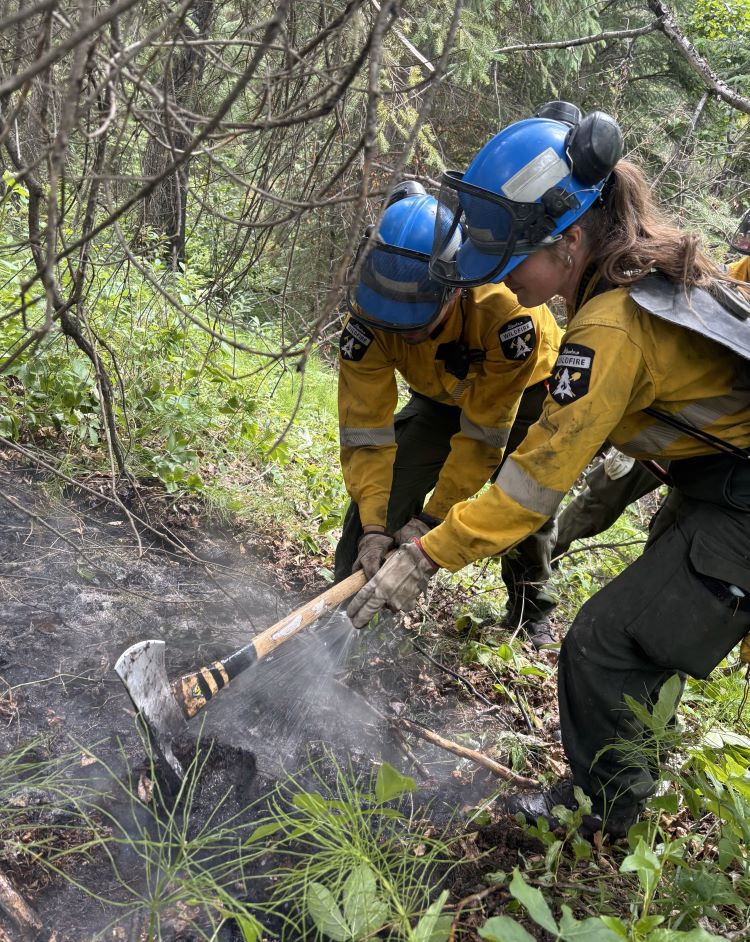 Two Alberta wildfire firefighters in yellow gear and blue hard hats work together to extinguish a hot spot on the forest floor. One firefighter uses a Pulaski tool to break apart smouldering material while the other applies water to the area. Surrounding vegetation is green and dense.