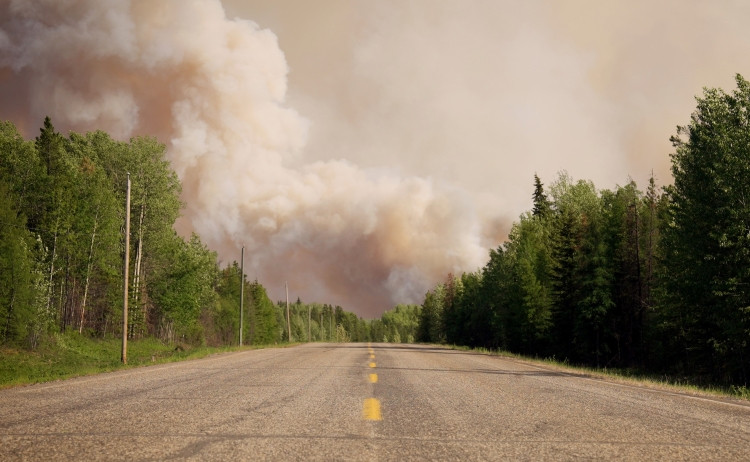 A highway with dense, green coniferous and deciduous trees on both sides. In the distance is a wildfire with light grey smoke billowing up into the sky.