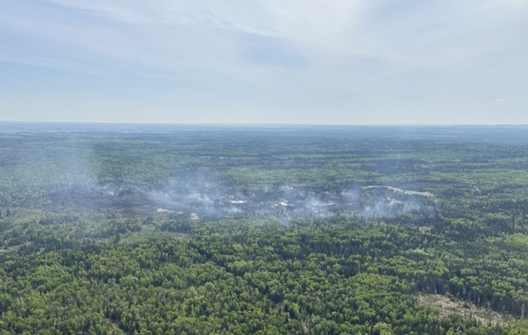 A dense, lush-green forested landscape with a blue horizon in the far distance. Light grey smoke rises from a burnt area in the trees.