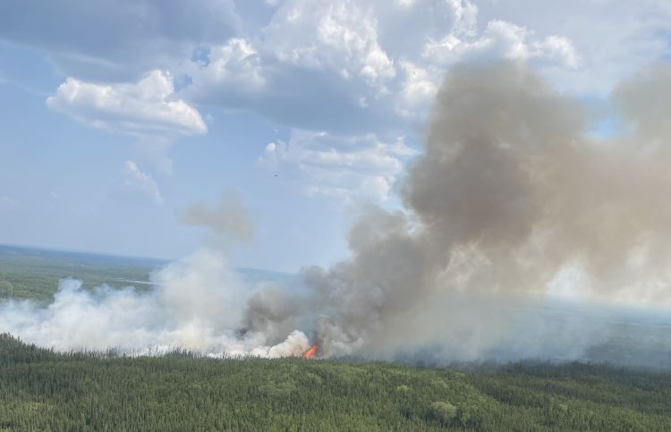 Thick smoke rises from active flames burning through a field of spruce trees.